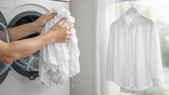 The 15-second spin trick that keeps non-iron shirts looking smooth